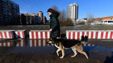 Собакам прописали трезвый выгул