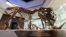 «Комплекс представит историю Земли за последние 13 млрд лет»