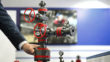 «Поставки из России являются важнейшим поддерживающим фактором для китайской экономики»