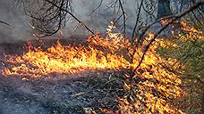 В трех муниципалитетах Челябинской области ввели особый противопожарный режим