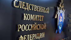 Глава СК снова требует доклад по делу о насилии подростков над девочкой в Миассе