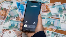 В Челябинске ужесточили приговор мошеннику за хищение 4,6 млн рублей у пенсионеров