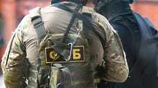 В доме семьи Махониных в Челябинске провели обыски