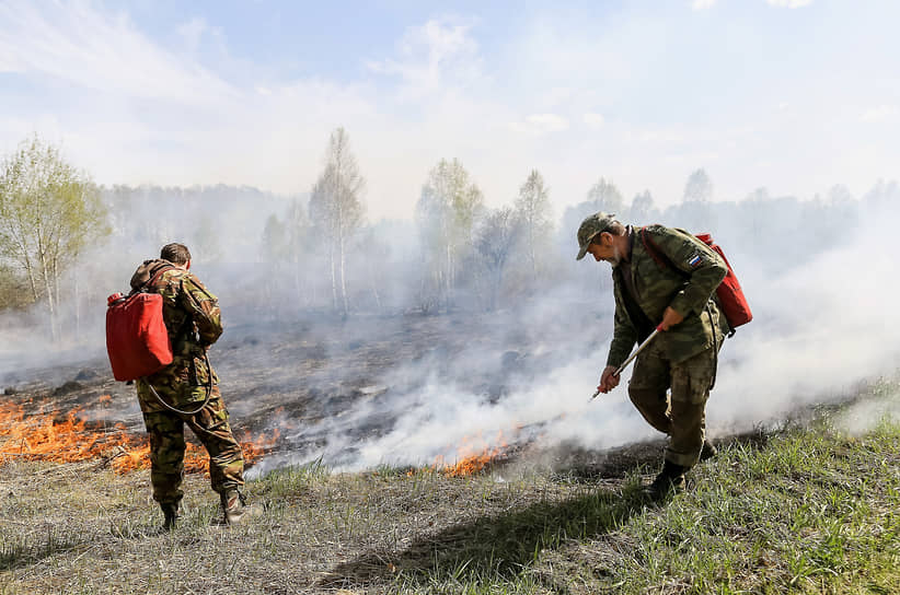 Лесные пожары в Тюменской области переросли в масштабное стихийное бедствие