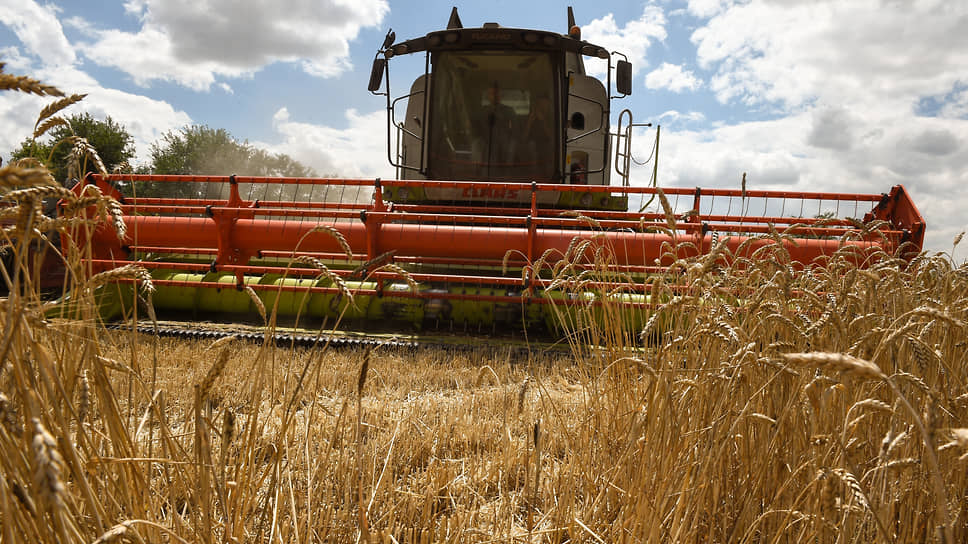 Спрос на сельскохозяйственный бизнес за год вырос в 2,2 раза