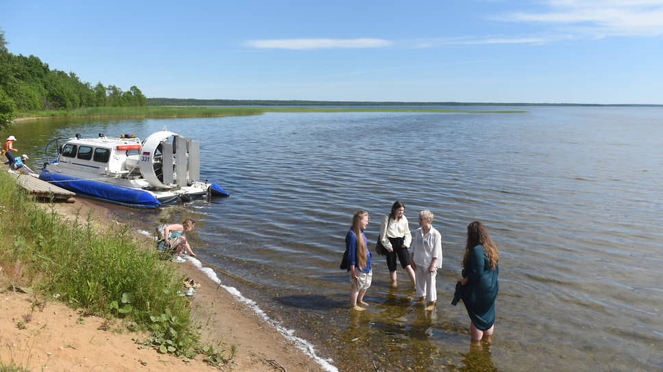 Жители боятся, что из-за строительства поселка вырубят березовую рощу рядом с озером