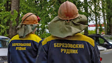 Бывшая жена совладельца «Березовского рудника» пытается отсудить доли в бизнесе и имущество экс-супруга на 2,5 млрд рублей