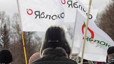 Свердловское «Яблоко» проведет серию пикетов против изменения Конституции
