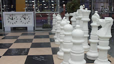 В ХМАО в шахматной федерации полиция проводит обыски