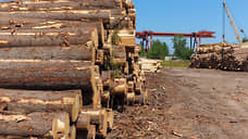 В производство по переработке древесины в Свердловской области инвестируют 348 млн рублей