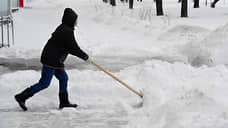 Авито: спрос на лопаты для уборки снега в Екатеринбурге вырос в 3,6 раза за неделю