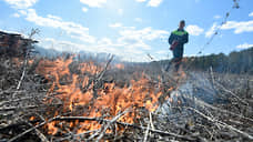 В лесах Тюменской области из-за пожаров введут режим ЧС