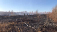 Для тушения торфа в Екатеринбурге создадут искусственные водоемы