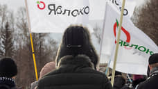 «Яблоко» планирует выдвинуть в думу Екатеринбурга кандидатов от демократических партий по всем округам