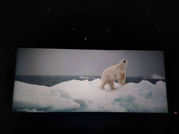Документальный фильм «В Арктику»
