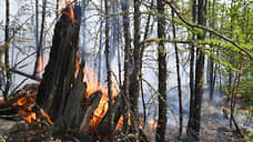 В Свердловской области Авиалесоохрана обнаружила один природный пожар
