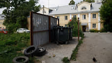 Глава района в Екатеринбурге обвинил в нашествии крыс мусорные площадки