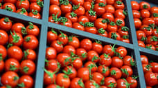 На Среднем Урале предотвратили ввоз 18 тонн зараженных томатов из Казахстана