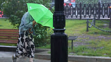 В МЧС предупредили тюменцев о сильных дождях, граде и порывах ветра до 25 м/с