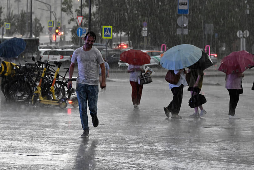 МЧС предупредило о дожде и ветре 25 м/с в Тюменской области