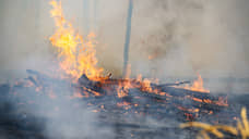 В ХМАО площадь лесных пожаров увеличилась до 1,7 тысяч гектаров