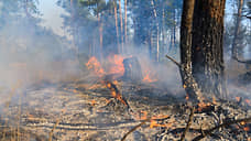 Площадь лесных пожаров в Свердловской области увеличилась до 85 га