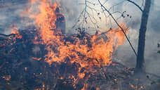 Площадь лесных пожаров в Свердловской области увеличилась до 88 гектаров