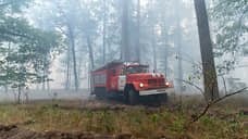 Причиной большинства лесных пожаров на Урале стали грозы