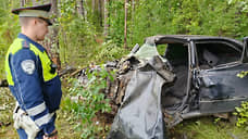 В Нижнем Тагиле водитель врезался в дерево и погиб
