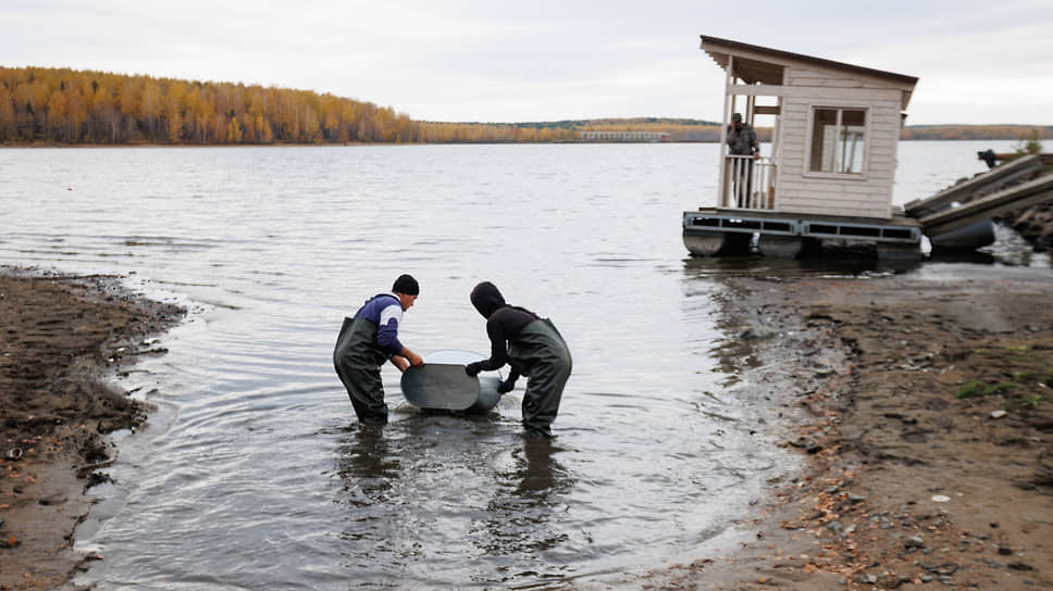 Волчихинское водохранилище