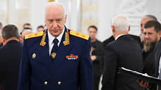 Бастрыкин поручил доложить об отлове бродячих собак в Солнечном
