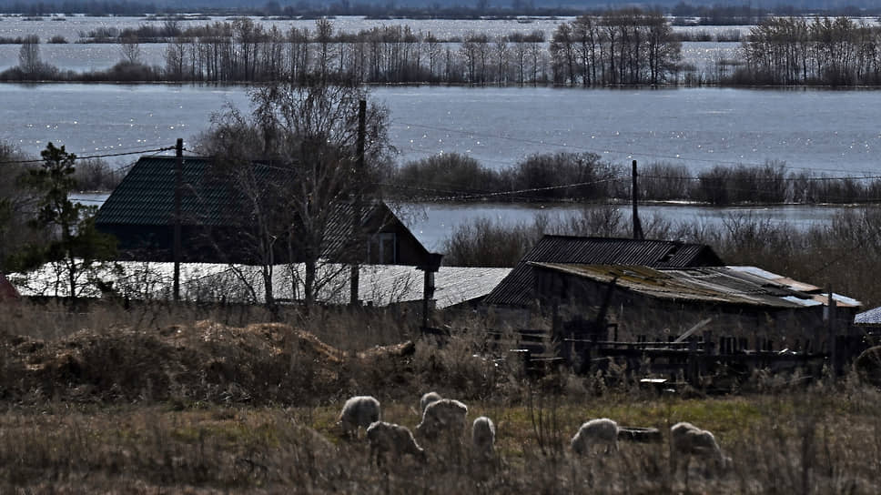Село Абатское во время разлива реки Ишим