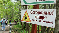 Жителям Свердловской области рекомендовали усилить защиту от клещей