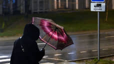 В Свердловской области вечером 3 мая и 4 мая ожидают дождь и сильный ветер