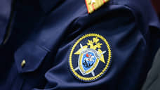 СКР возбудил дело из-за пьяной свердловчанки, разбившей бутылку о голову ребенка