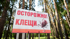 В Свердловской области госпитализировано 50 человек после укуса клеща