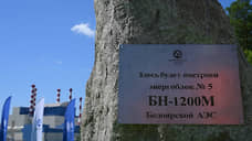 Лихачев и Паслер дали старт подготовке строительства БН-1200М на Белоярской АЭС