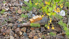 Под Екатеринбургом ОМОН обезвредил артиллерийский снаряд