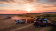 Регионы УрФО превысили показатели 2024 года по сбору зерна, картофеля и овощей