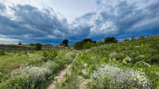 Суд признал незаконным перевод сельскохозяйственных земель в Сысерти под полигон