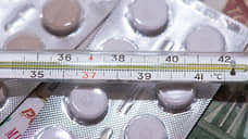 Заболеваемость ОРВИ в Свердловской области выросла на 22% за неделю