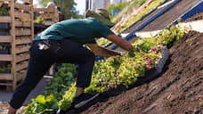 На благоустройство Екатеринбурга до 2030 года направят 37,39 млрд рублей