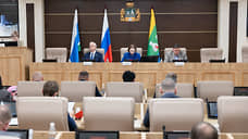 Депутаты приняли бюджет Екатеринбурга с дефицитом 3,6 млрд руб. в первом чтении