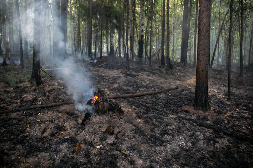 Тушение лесного пожара на горе Волчихе