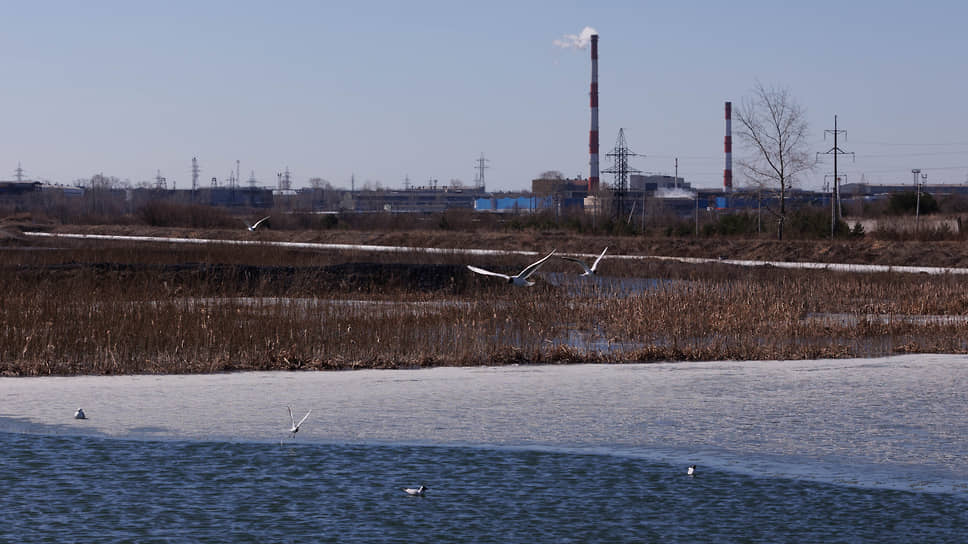  Для дополнительной очистки сточные воды поступают на биологические пруды