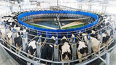 Власти Удмуртии намерены сотрудничать с Национальным союзом производителей молока