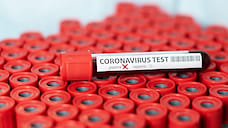 30 новых случаев заболевания коронавирусом выявили в Удмуртии