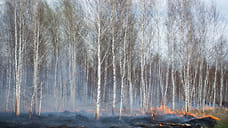 Пожарные Удмуртии выехали в Мордовию для тушения горящего заповедника