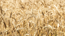 Из-за засухи хозяйства Удмуртии получат два вида новых субсидий