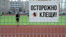 33 ребенка в Удмуртии пострадали от укусов клещей за последнюю неделю